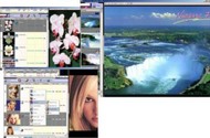 Free Picture Finder screenshot